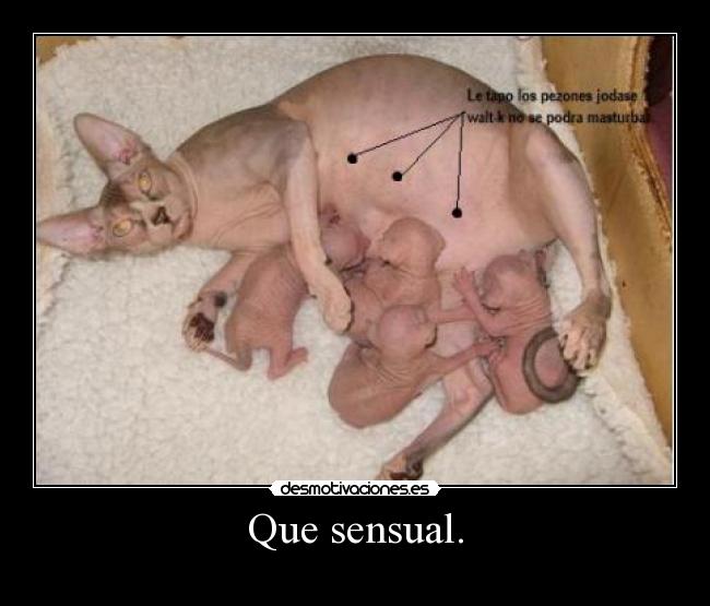 Que sensual. -