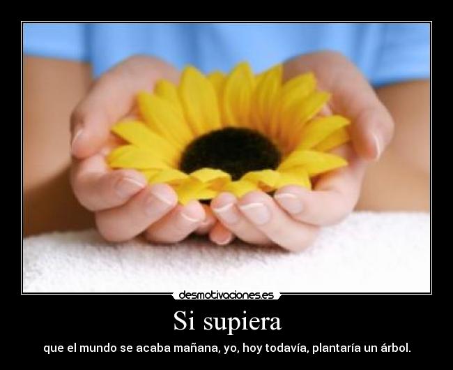 Si supiera - 