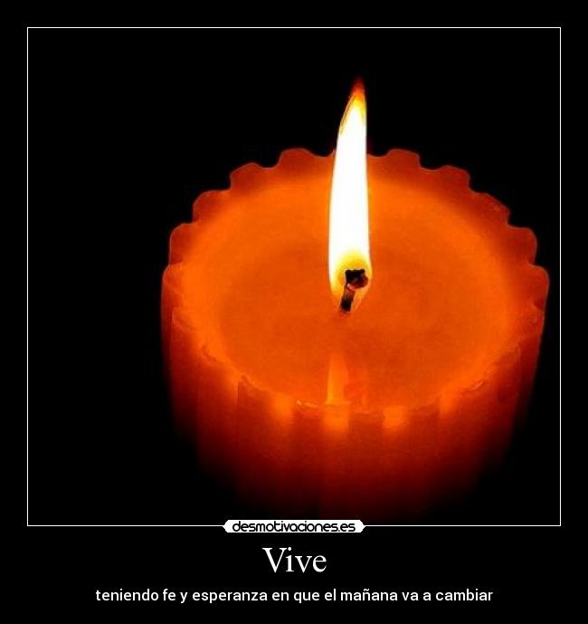Vive - 
