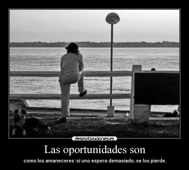 Las oportunidades son - como los amaneceres :si uno espera demasiado, se los pierde.