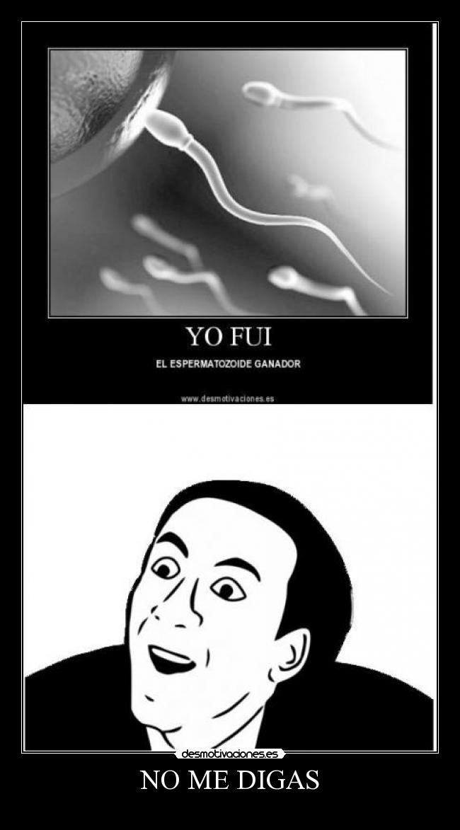 NO ME DIGAS -