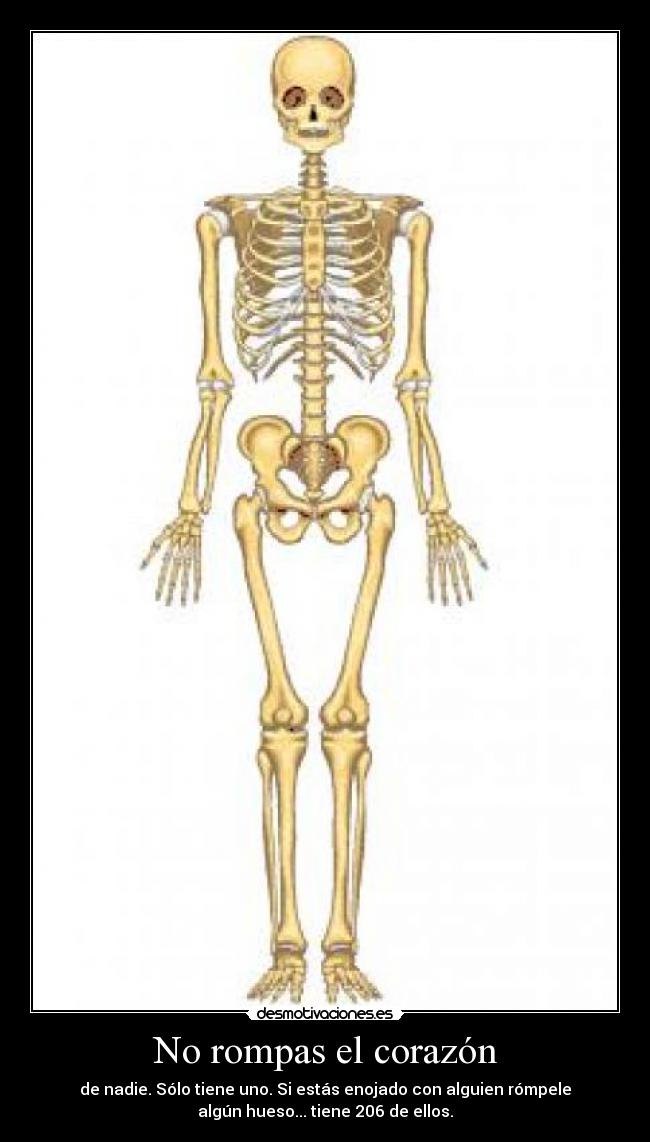 No rompas el corazón - de nadie. Sólo tiene uno. Si estás enojado con alguien rómpele
algún hueso... tiene 206 de ellos.