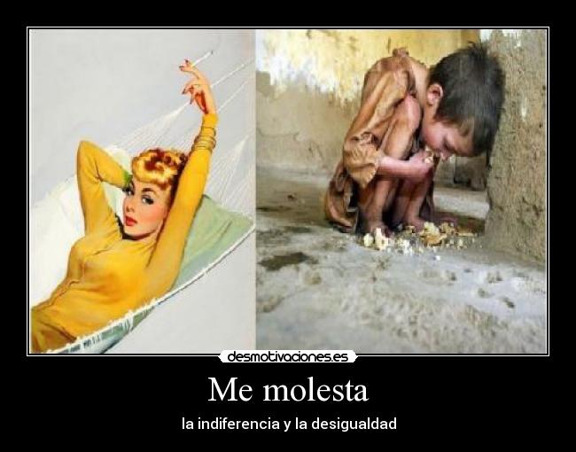 carteles mmm desmotivaciones