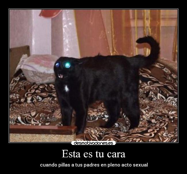 Esta es tu cara - 
