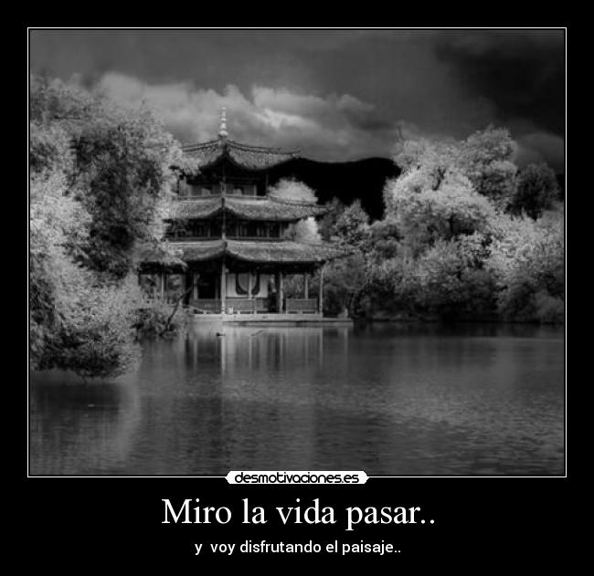 Miro la vida pasar.. - y  voy disfrutando el paisaje..