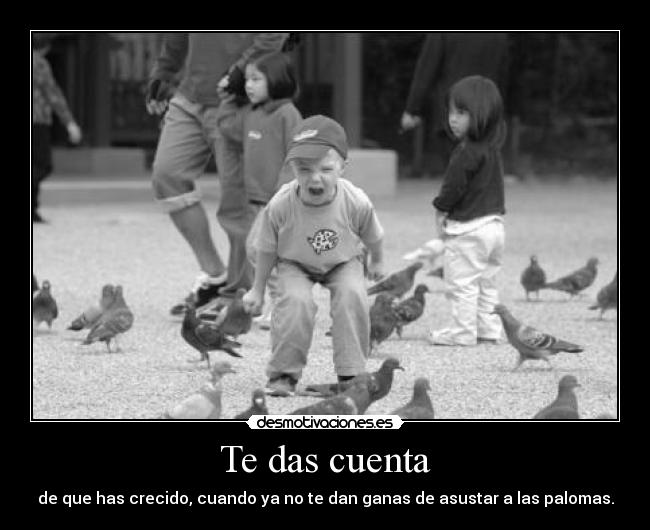 Te das cuenta - 