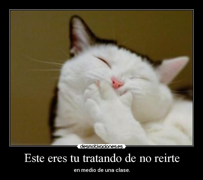 Este eres tu tratando de no reirte - 