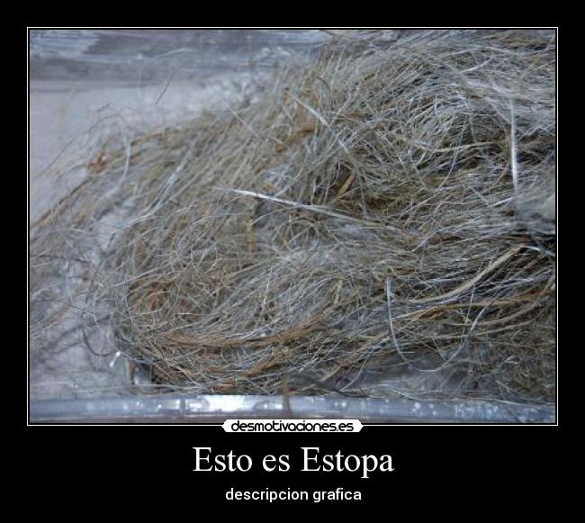 Esto es Estopa -