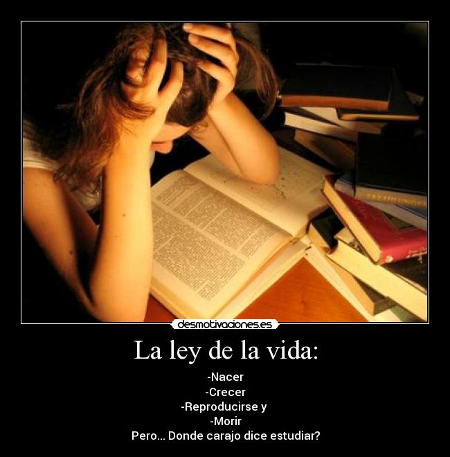 La ley de la vida: - -Nacer
-Crecer
-Reproducirse y 
-Morir
Pero... Donde carajo dice estudiar?