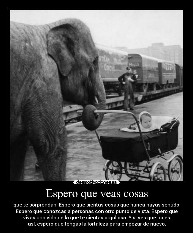 Espero que veas cosas - que te sorprendan. Espero que sientas cosas que nunca hayas sentido.
Espero que conozcas a personas con otro punto de vista. Espero que
vivas una vida de la que te sientas orgullosa. Y si ves que no es
así, espero que tengas la fortaleza para empezar de nuevo.