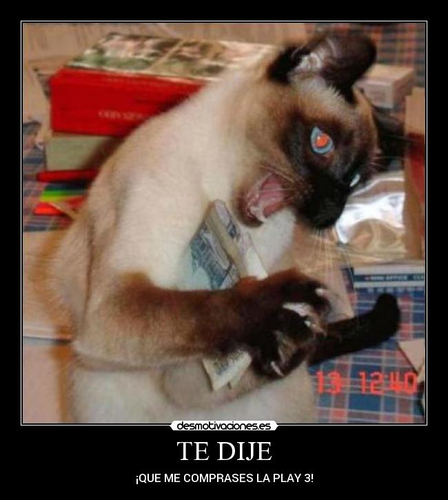 TE DIJE - ¡QUE ME COMPRASES LA PLAY 3!