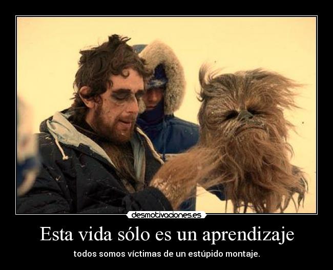 Esta vida sólo es un aprendizaje -