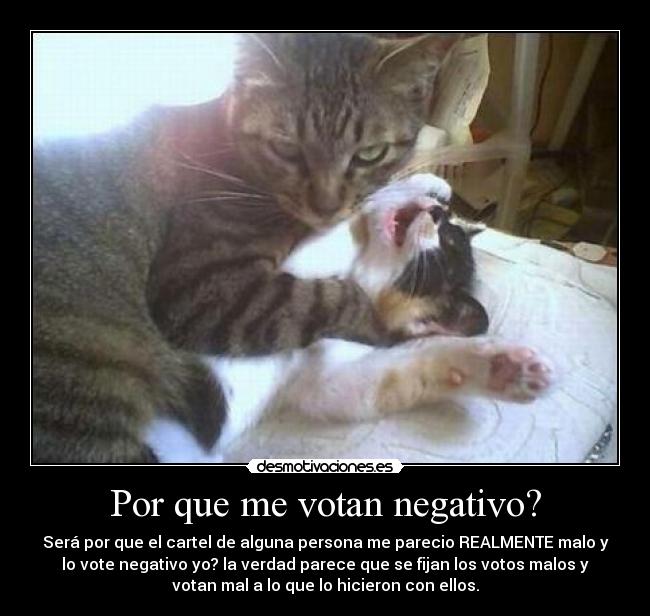 Por que me votan negativo? -