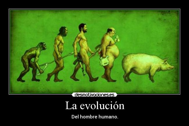 La evolución - 
