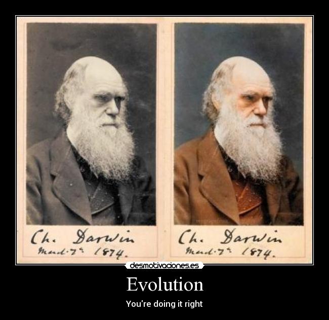 Evolution -