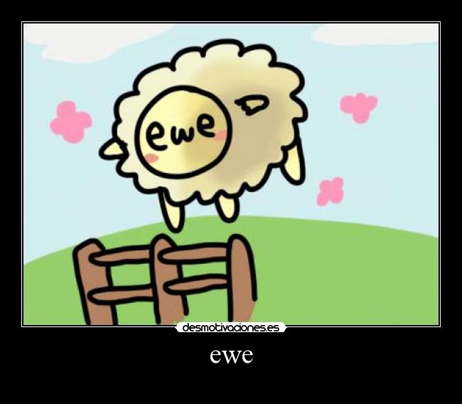 ewe - 