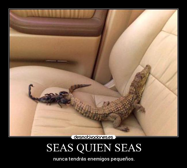 SEAS QUIEN SEAS - nunca tendrás enemigos pequeños.