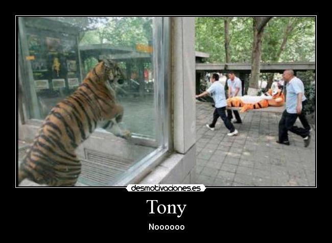 Tony - Noooooo