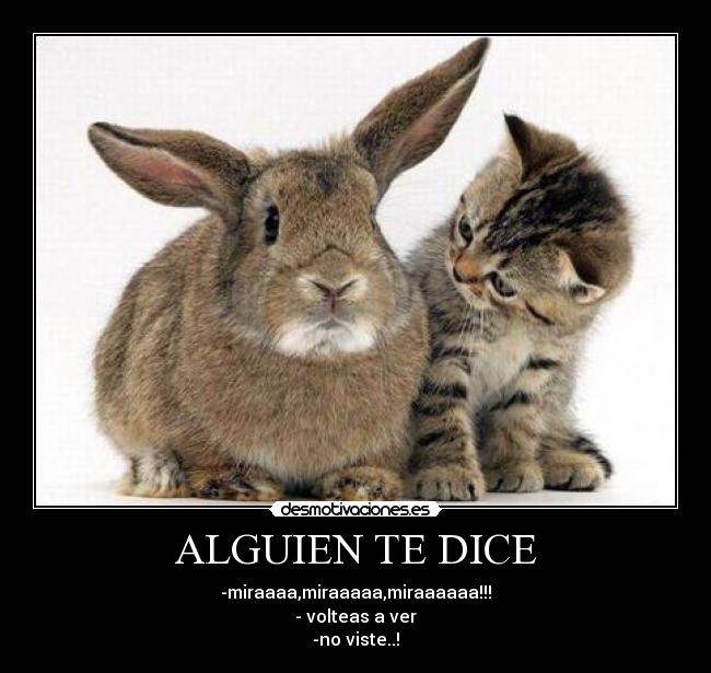 ALGUIEN TE DICE - 