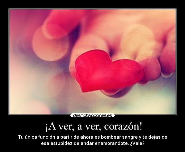 ¡A ver, a ver, corazón! -