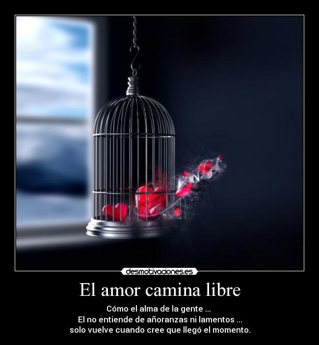 El amor camina libre - 