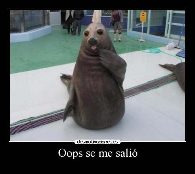Oops se me salió - 