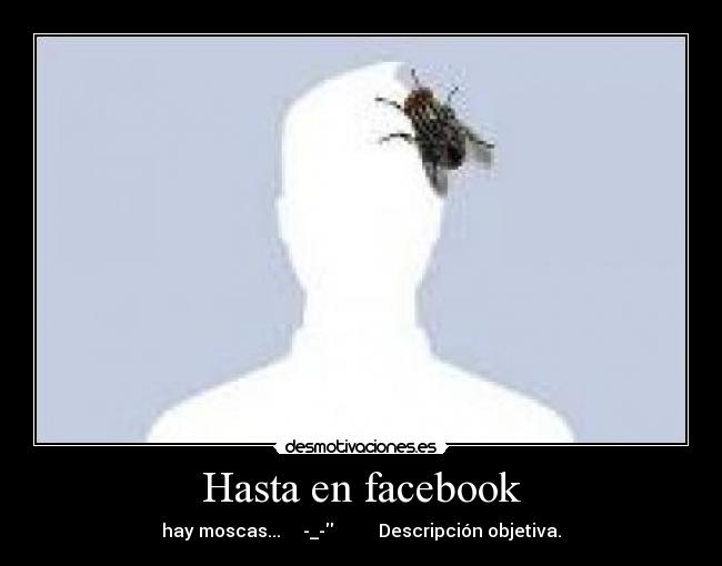 Hasta en facebook - 