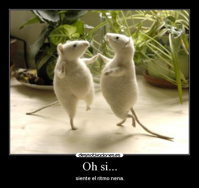 Oh si... - siente el ritmo nena.