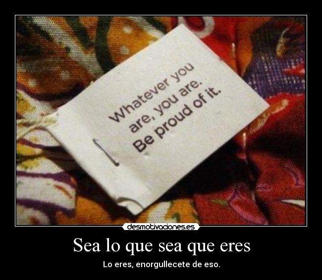 Sea lo que sea que eres - Lo eres, enorgullecete de eso.