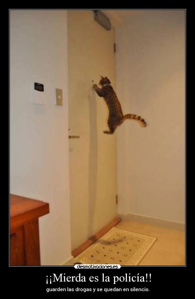 ¡¡Mierda es la policía!! -