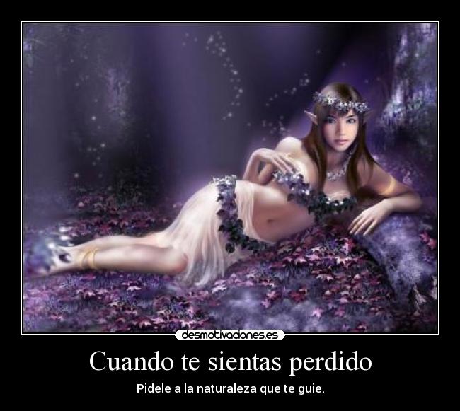 Cuando te sientas perdido - Pidele a la naturaleza que te guie.