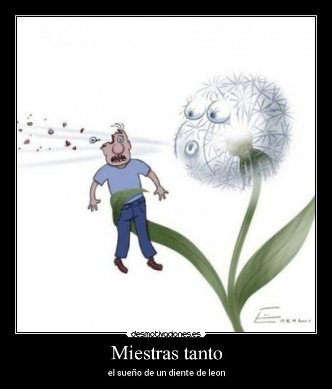 Miestras tanto - el sueño de un diente de leon
