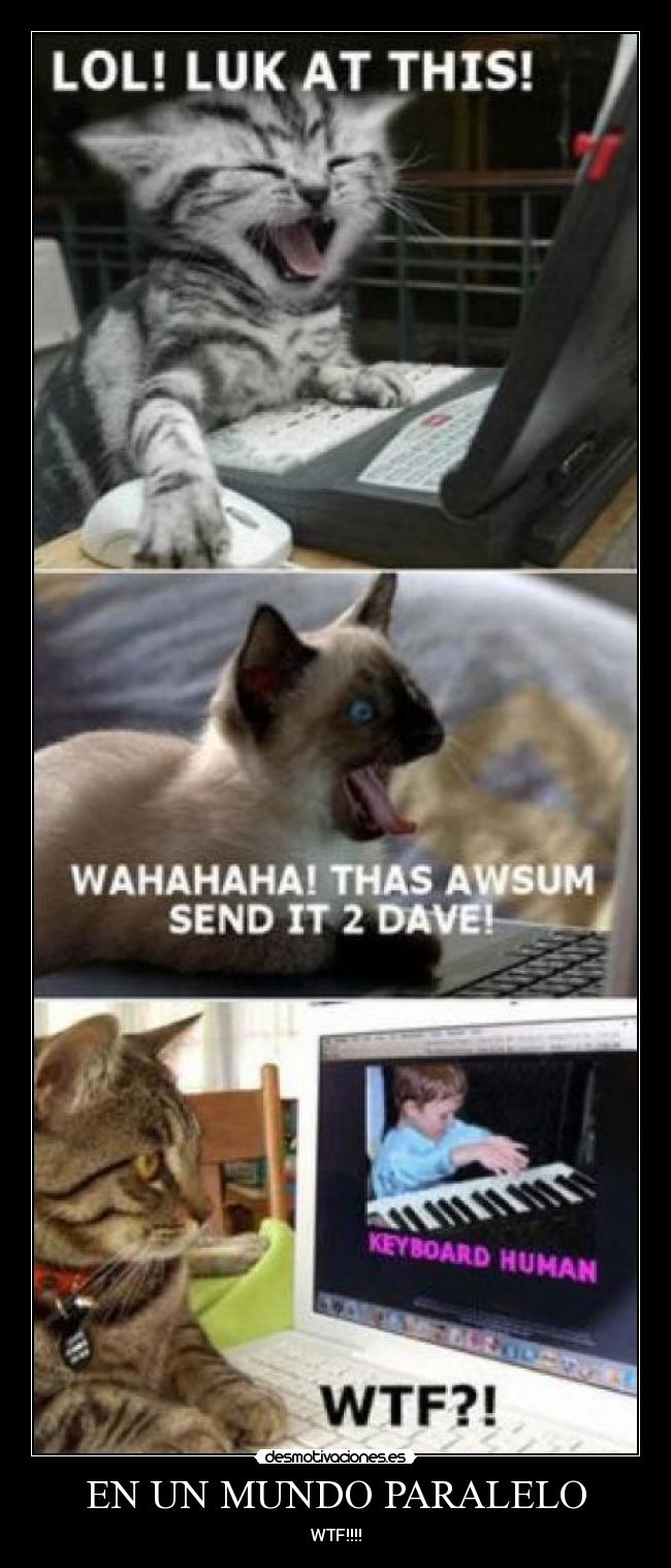 EN UN MUNDO PARALELO -