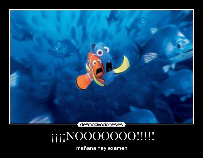 ¡¡¡¡NOOOOOOO!!!!! -