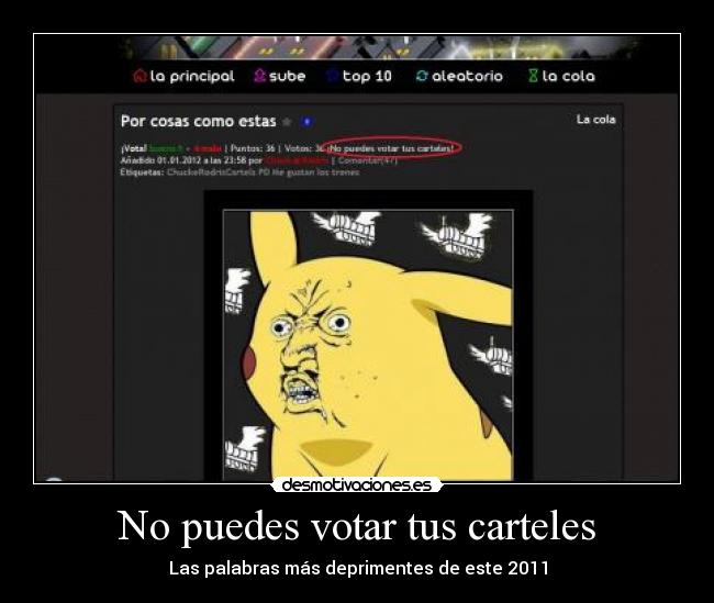 No puedes votar tus carteles - 
