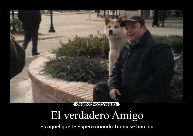 El verdadero Amigo - Es aquel que te Espera cuando Todos se han Ido
