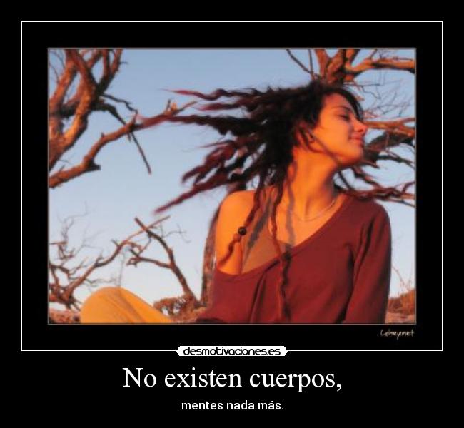 No existen cuerpos, - mentes nada más.
