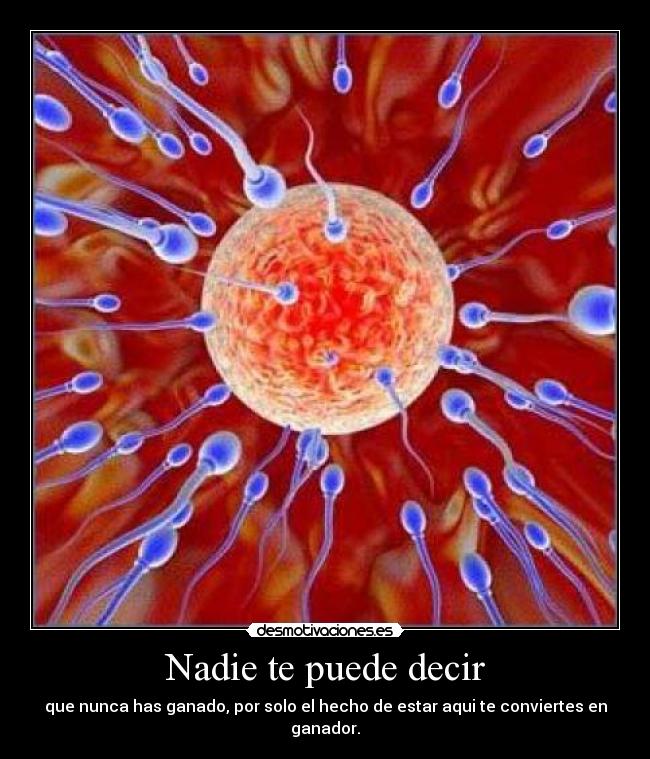 Nadie te puede decir - que nunca has ganado, por solo el hecho de estar aqui te conviertes en ganador.