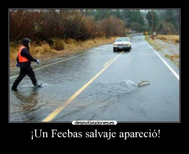 ¡Un Feebas salvaje apareció! -