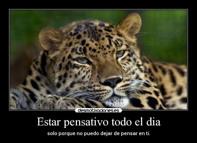 Estar pensativo todo el dia - solo porque no puedo dejar de pensar en ti.