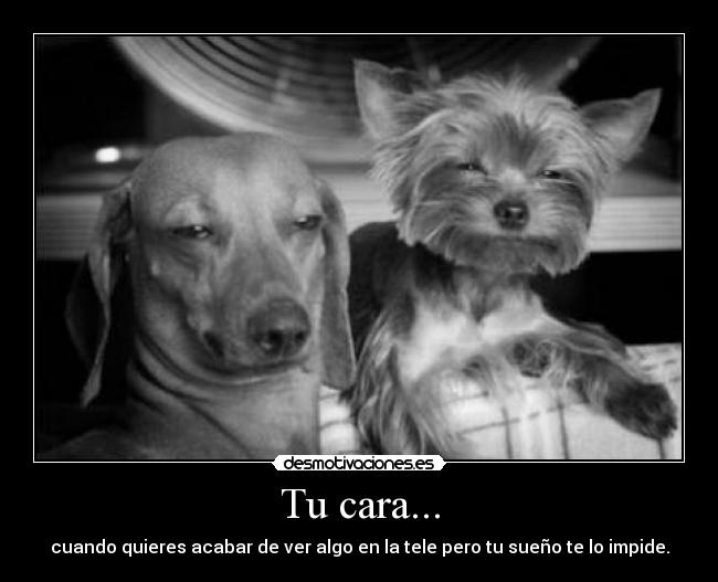 Tu cara... - 