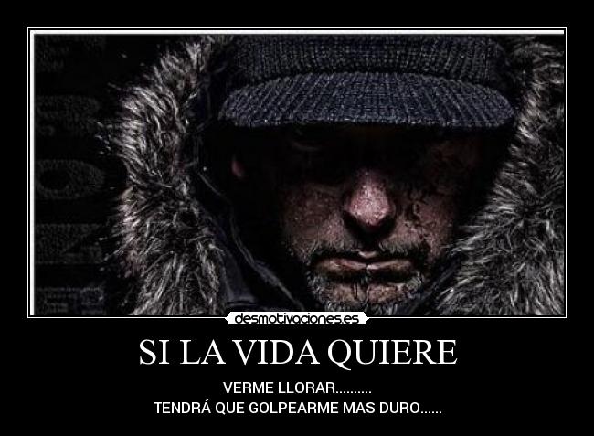 SI LA VIDA QUIERE - 