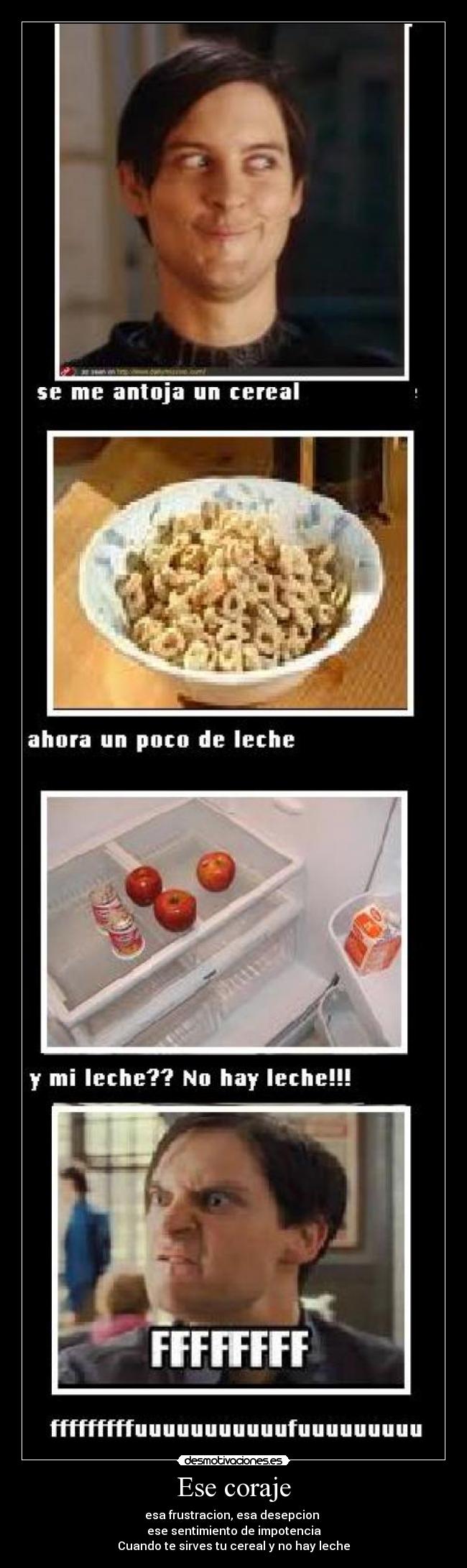 carteles esa frustracion esa desepcion ese sentimiento impotencia cuando sirves cereal hay desmotivaciones