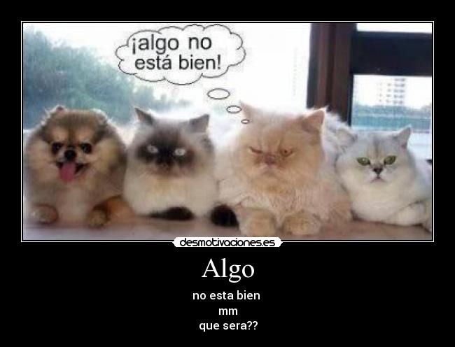 Algo - no esta bien
mm
que sera??