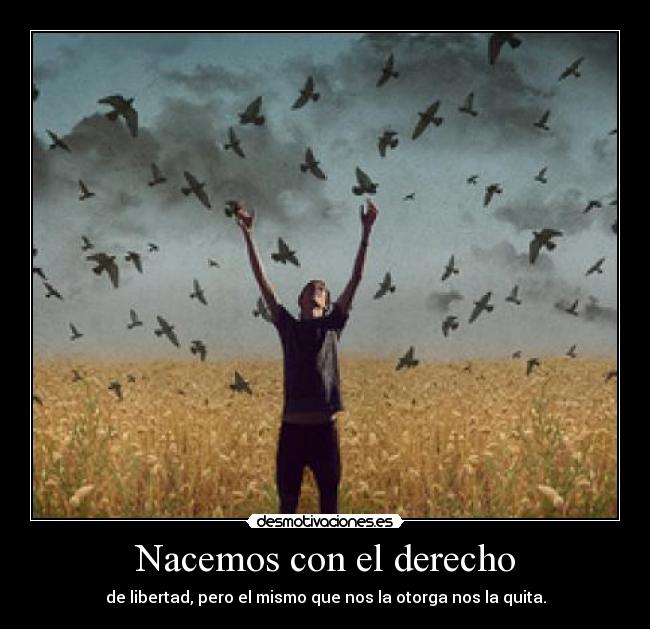 Nacemos con el derecho -