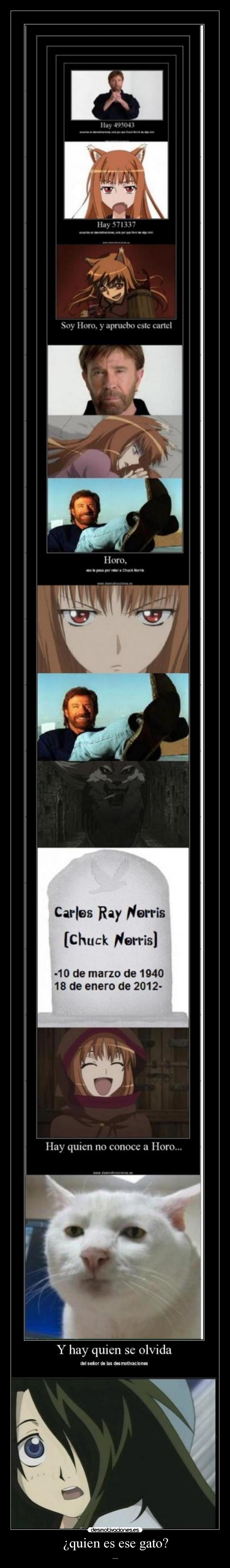 ¿quien es ese gato? - ....