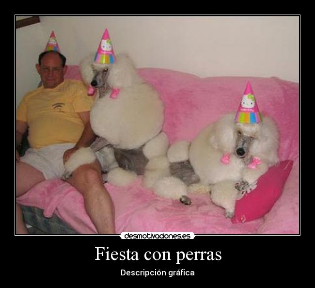 Fiesta con perras - 