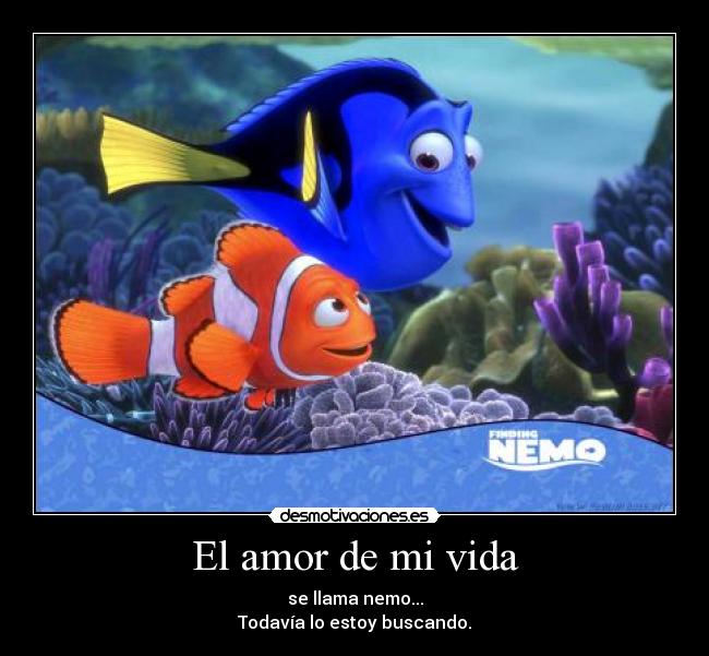 El amor de mi vida -