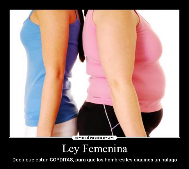 Ley Femenina - Decir que estan GORDITAS, para que los hombres les digamos un halago