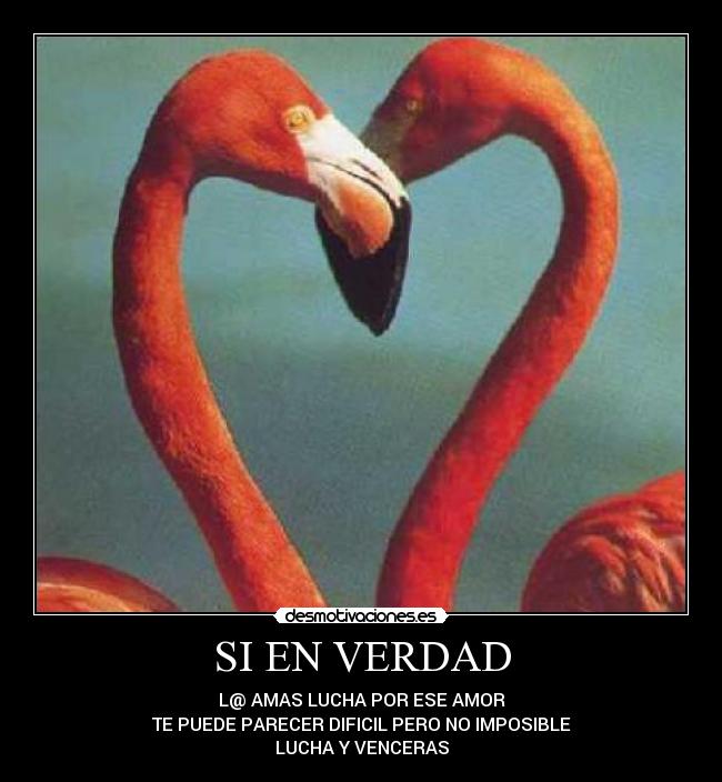 carteles polo desmotivaciones
